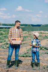 Fototapeta premium happy father and son holding ripe vegetables and smiling each other in field