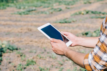 cropped shot of farmer using digital tablet with blank screen while standing on field