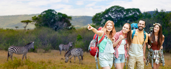 Obraz na płótnie Canvas travel, tourism, hike and adventure concept - group of smiling friends with backpacks pointing finger to something over zebras in african savannah background