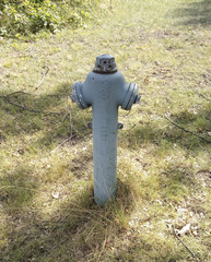 Fototapeta na wymiar grauer Hydrant