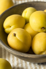 Raw Yellow Organic Angelcot Apricots
