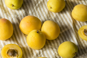 Raw Yellow Organic Angelcot Apricots
