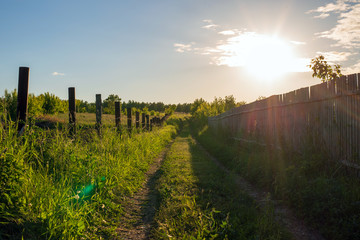 Fototapeta premium Rural road overgrown with green grass along the fence with barbed wire with a bright glare of the sun