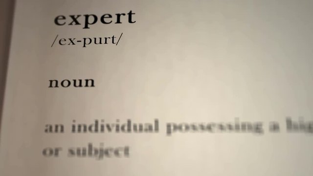 Expert Definition