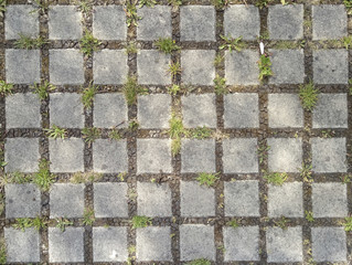 Pflaster für Fußwege