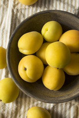 Raw Yellow Organic Angelcot Apricots