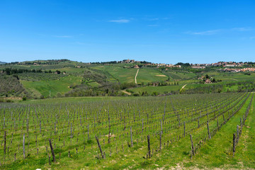 Fototapeta na wymiar Panoramic beautiful view of Radda in Chianti and vineyards and olive trees in the Chianti region, Tuscany, Italy.