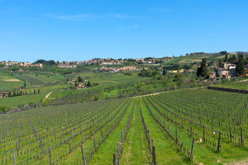 Fototapeta na wymiar Panoramic beautiful view of residential areas Radda in Chianti and vineyards and olive trees in the Chianti region, Tuscany, Italy.