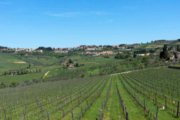Fototapeta na wymiar Panoramic beautiful view of residential areas Radda in Chianti and vineyards and olive trees in the Chianti region, Tuscany, Italy.