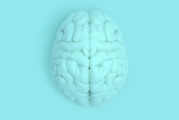 Human brain in top view isolated on blue pastel BG