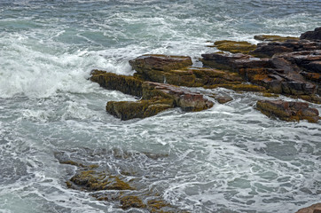 Against a Roily Sea.  The tide thunders to shore in Acadia National Park on Mount Desert Island in Maine. 