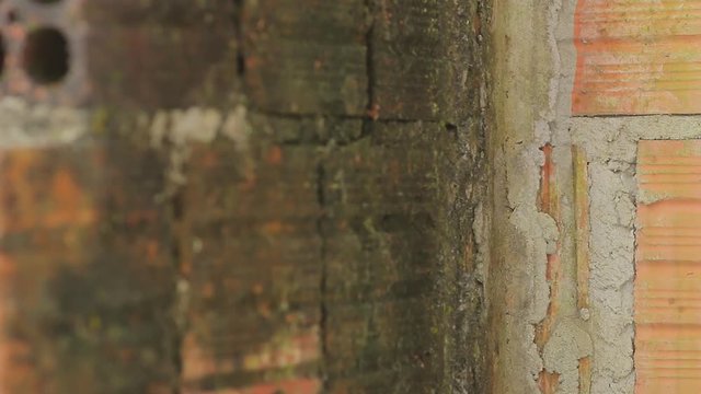 Parede tijolo brick wall