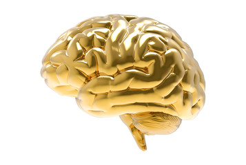 3D Gold human brain illustration isolated on white BG