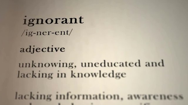 Ignorant Definition