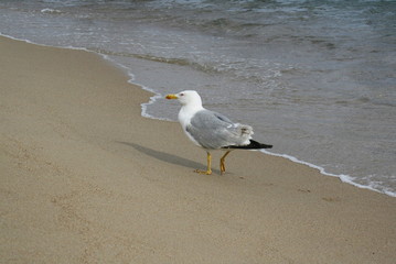 Processed with VSCOcam