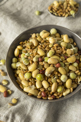 Assorted Raw Sprouted Beans Legumes