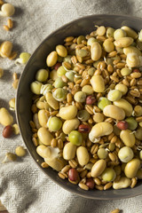 Assorted Raw Sprouted Beans Legumes