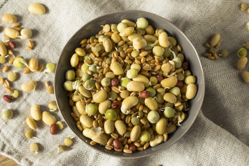 Assorted Raw Sprouted Beans Legumes