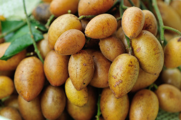 Chinese wampee fruits