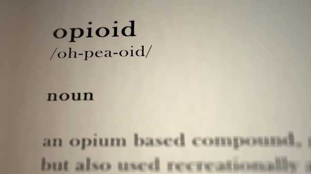 Opioid Definition