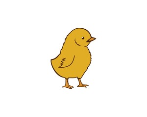 Chick vector