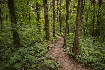 Hiking Trail