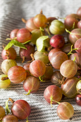 Raw Purple Organic Gooseberries