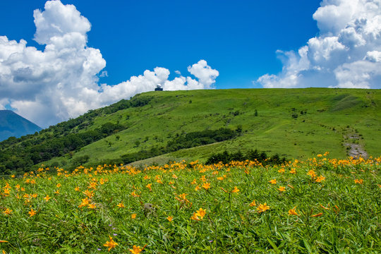 Summer Mountain