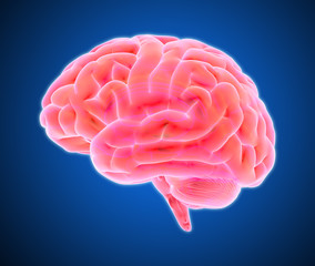 Red brain scan illustration glowing on dark blue BG