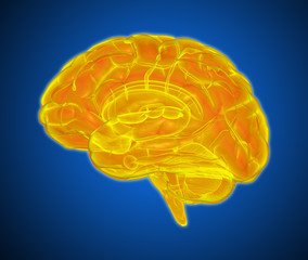 Brain scan illustration isolated on dark blue BG