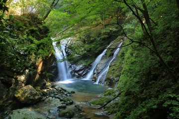 高千穂の竜ヶ岩の滝（Tatugaoka no taki）