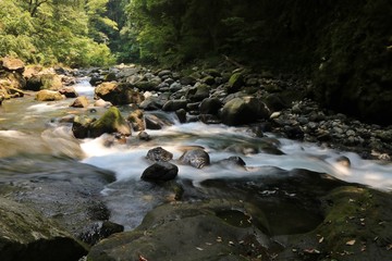 Obraz premium 清流が流れる高千穂峡の風景