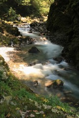 清流が流れる高千穂峡の風景