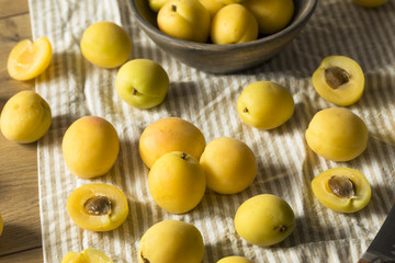 Raw Yellow Organic Angelcot Apricots