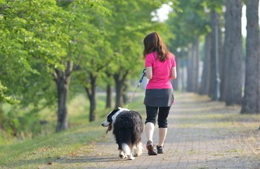 Naklejka na ściany i meble 愛犬と散歩する女性
