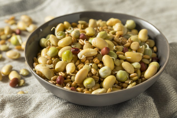 Assorted Raw Sprouted Beans Legumes