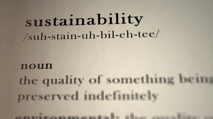 Sustainability Definition
