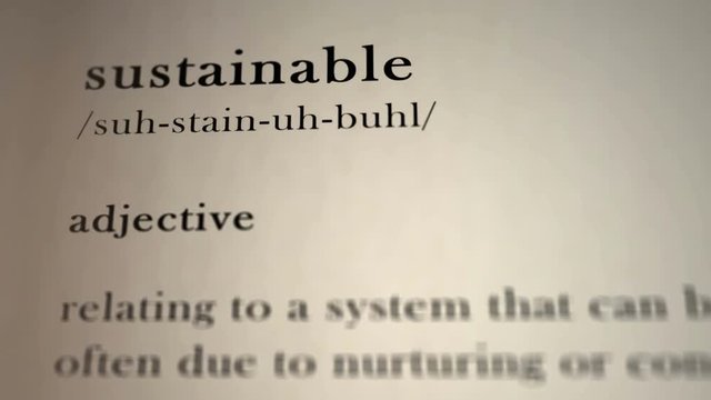 Sustainable Definition