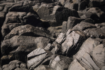 Textures stones of the Brazilian oceanic coast. Brazilian beaches.