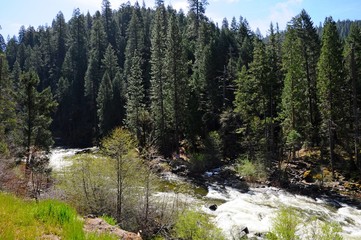 Beautiful Landscape of forests and river in Spring in California, United States