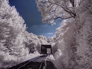 infrared photography - ir photo of a  bridge in the nature
