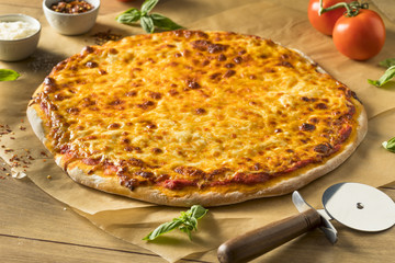 Homemade Greasy New York Cheese Pizza