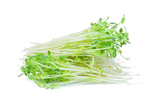 green snow pea sprouts isolated on white background