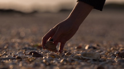 girl picking up a shell on a French beach at sunset