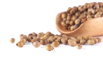 Split coriander seeds isolate on a white background.