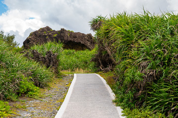Fototapeta premium Hiking path on a tropical island in Sanxiantai, Taidong, Taiwan
