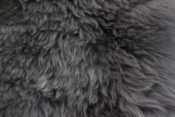 Beautiful grey wool for background