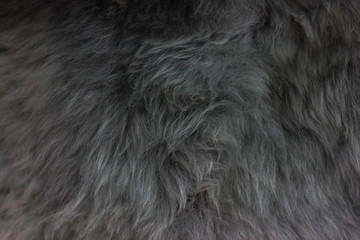 Beautiful grey wool for background