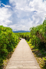Hiking path on a tropical island in Sanxiantai, Taidong, Taiwan