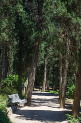 Russia, the Republic of Crimea, the city of Alupka. 06/09/2018: Vorontsov Park, walking track